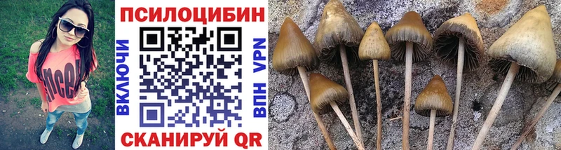 Псилоцибиновые грибы прущие грибы Ленинградская